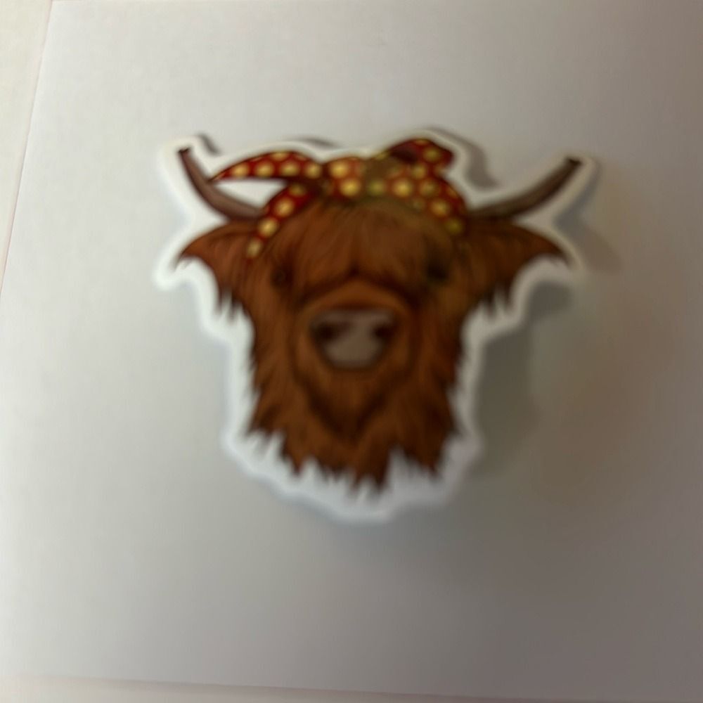 Scottish Highland Cow
